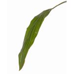 Hoja de cordiline de plástico ELARA, verde, 90cm
