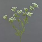 Rama de eneldo de plástico WINCENT con flores, blanco-verde, 80cm