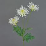 Crisantemo artificial SOLVIE, crema, 70cm, Ø10cm