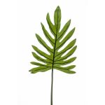 Filodendro de imitación Hoja GINO, 100cm