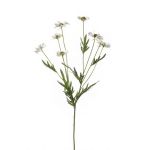 Margarita de plástico LASAI, crema, 75cm