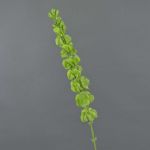 Campanas de irlanda sintéticas SIERA, verde, 80cm