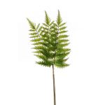 Rama de helecho espada artificial HALIMA, verde, 60cm