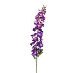 Espuela de caballero de plástico ALARICO, violeta, 130cm