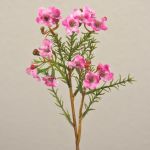 Wachsblume künstlich AISHA, pink, 27cm, Ø1-1,5cm