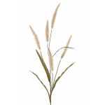 Künstliches Lampenputzergras HIWA, Rispen, beige, 135cm
