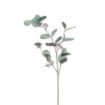 Kunstzweig Eukalyptus MAXEN mit Früchten, grün-grau, 75cm