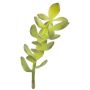 Árbol de jade artificial KOSMA, con palo, para zonas resguardadas, verde, 30cm, Ø10cm