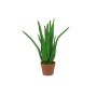 Aloe vera artificial KOLJA, verde, 65cm, Ø30cm