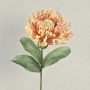 Alfiletero decorativo Protea ISLARTINA, crema-albaricoque, 75 cm