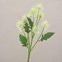 Rama decorativa de cardo esférico GESKENDA, crema-blanco, 60 cm, Ø 3,5-5 cm