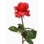 Rosa de plástico AMELIE, roja, 70cm, Ø8cm