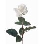 Rosa de plástico AMELIE, blanca, 70cm, Ø8cm