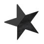 OASIS® Black Ideal Espuma para arreglos florales en húmedo, estrella, base de madera Bioline, negro, 30 x 29 x 4,5 cm