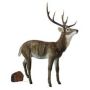 Figura decorativa de ciervo XXL marrón-blanco BLAER, 138x63x172cm