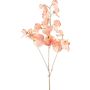 Rama artificial de Lathyrus latifolius SLIRKEN, color albaricoque, 75 cm