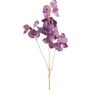 Rama artificial de Lathyrus latifolius SLIRKEN, morado oscuro, 75 cm