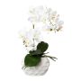 Orquídea Phalaenopsis artificial GINERT, maceta de cerámica, raíces, blanca, 35 cm
