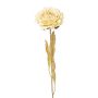 Flor artificial de peonía MASNOR, aspecto seco, color crema, 65cm