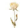 Flor artificial rosa PANSOK, aspecto seco, color crema, 55cm, Ø7cm