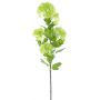 Rama artificial de vaina de nieve THENOS, verde claro, 90 cm