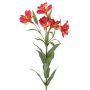 Lirio de los Andes artificial AUBERTA, rosa-amarillo, 75 cm, Ø 6 cm