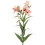 Lirio inca artificial AUBERTA, rosa-rosa-amarillo, 75 cm, Ø 6 cm