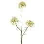 Allium artificial ALIKIO, blanco, 65 cm, Ø 7 cm