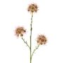 Rama decorativa de allium ZEBU, rosa, 65 cm, Ø 7 cm
