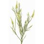Rama artificial de trébol EUTIN con flores, blanco y verde, 80 cm, Ø 1,5-2 cm