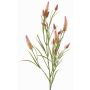 Rama artificial de trébol EUTIN con flores, rosa antiguo-verde, 80 cm, Ø 1,5-2 cm
