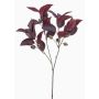 Rama de eucalipto artificial VIZIMIR con frutos, rojo burdeos, 80 cm