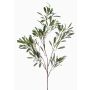 Rama decorativa de olivo RIGELIO, 120 cm