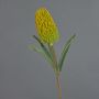 Flor artificial decorativa Banksia robur EREDIN, amarillo-verde, 70 cm, Ø 7 cm