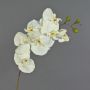 Rama artificial de orquídea Phalaenopsis RICKY, color crema, 95 cm, Ø 7-11 cm