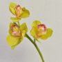 Rama decorativa de orquídea Cymbidium SERAPHINA, verde-rosa, 45 cm, Ø 10-13 cm