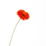 Flor de plástico gerbera CELINA, naranja, 45cm, Ø7cm