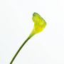 Calla de plástico PEPITA, verde-amarillo, 55cm, 7x11cm