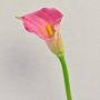 Zantedeschia artificial TALEA, rosa-amarillo, 65 cm, 9 x 11 cm