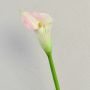 Zantedeschia artificial TALEA, blanco-rosa, 65 cm, 9 x 11 cm