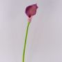 Calla sintética TERESA, violeta, 70cm, 10x18cm