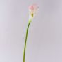Calla sintética TERESA, blanco-rosa, 70cm, 10x18cm