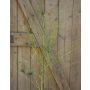 Rama de hierba de fuente artificial ZORANA, verde, 115 cm