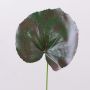 Hoja de geranio sintética HEIDEGARD, verde-rojo, 38cm, Ø14cm