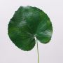 Hoja de geranio sintética HEIDEGARD, verde, 38cm, Ø14cm