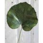 Hoja de geranio artificial HEIDEGARD, verde, 38 cm, Ø 14 cm