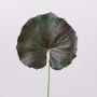 Hoja de geranio artificial HEIDEGARD, verde y rojo, 38cm, Ø13cm