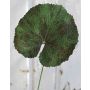 Hoja de geranio artificial HEIDEGARD, verde y rojo, 38 cm, Ø 13 cm
