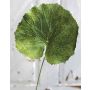 Hoja de geranio artificial HEIDEGARD, verde, 38 cm, Ø 13 cm