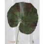 Hoja artificial de geranio HEIDEGARD, verde y rojo, 38 cm, Ø 11 cm